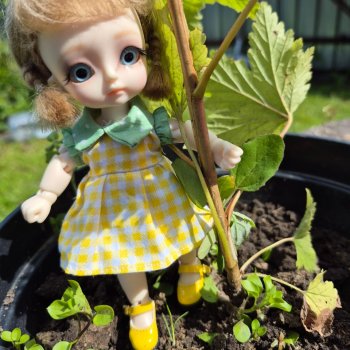 Как мы солнышко ловили