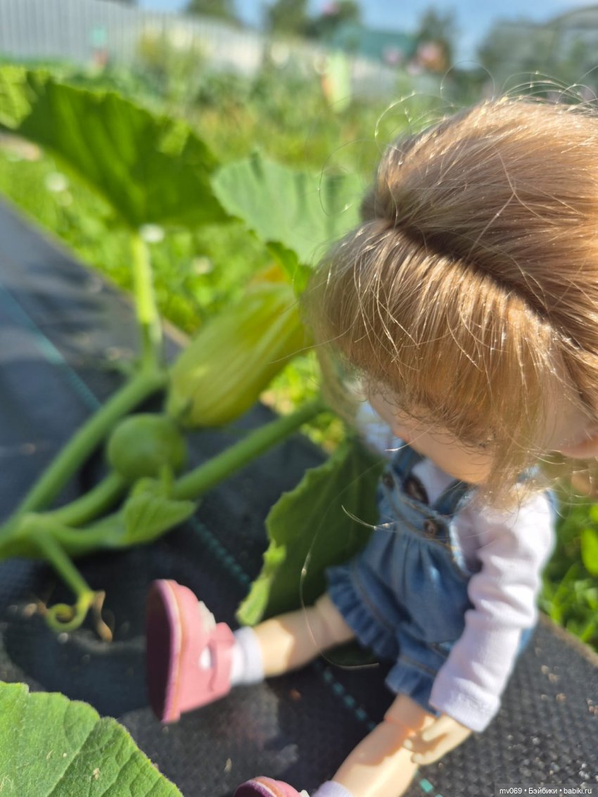 Погуляли — Куклы Xiaomi Monst (Сяоми) и Pipitom: шарнирные (фото 3)