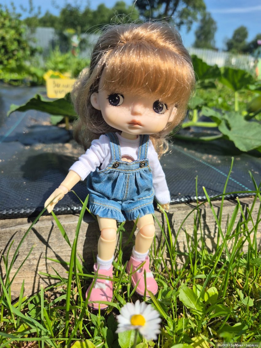 Погуляли — Куклы Xiaomi Monst (Сяоми) и Pipitom: шарнирные (фото 2)