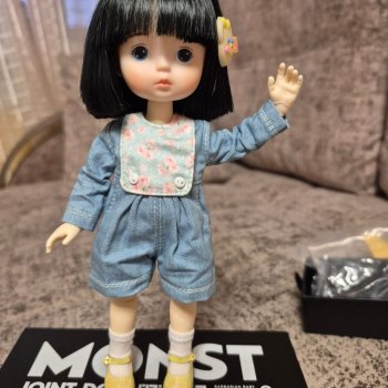 Новое тельце для Дины