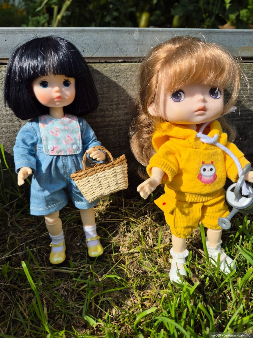 Первая прогулка Дины | Бэйбики Первая прогулка Дины — Куклы с Алиэкспресс (Aliexpress): Китайские шарнирные