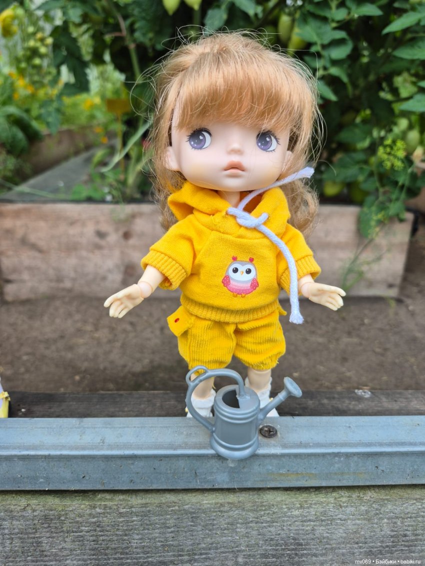 Первая прогулка Дины | Бэйбики Первая прогулка Дины — Куклы с Алиэкспресс (Aliexpress): Китайские шарнирные (фото 4)