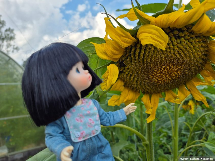 Первая прогулка Дины | Бэйбики Первая прогулка Дины — Куклы с Алиэкспресс (Aliexpress): Китайские шарнирные