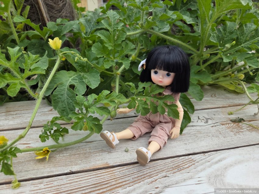 Приключения продолжаются-2 (фото 7)