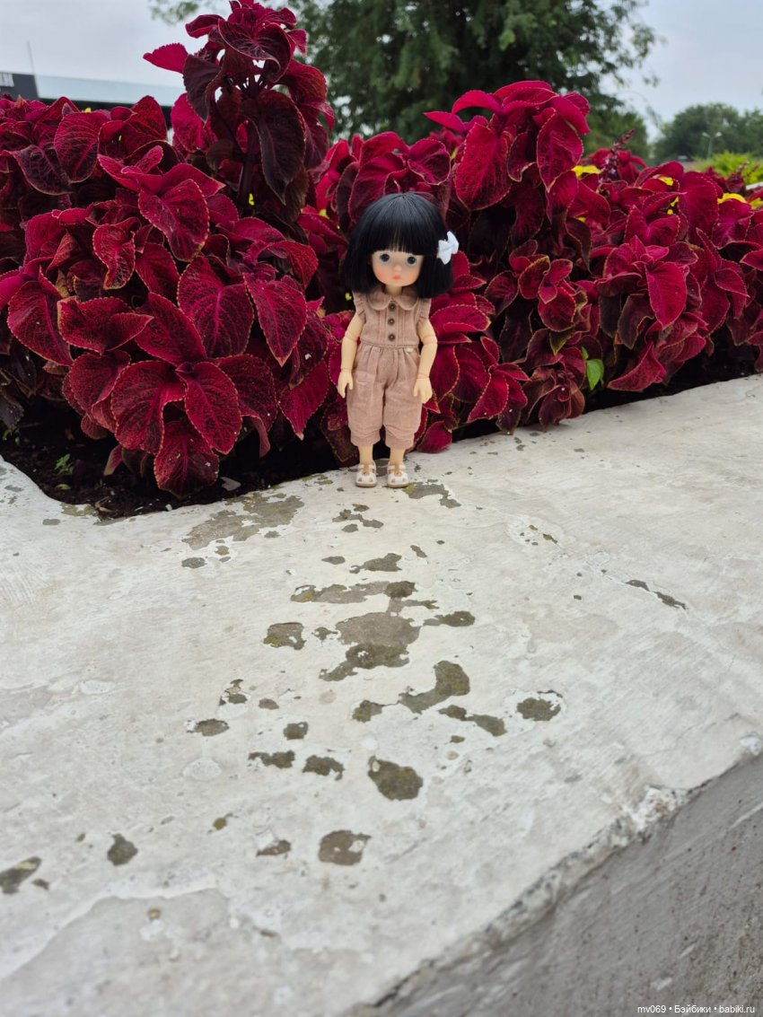 Приключения продолжаются-3