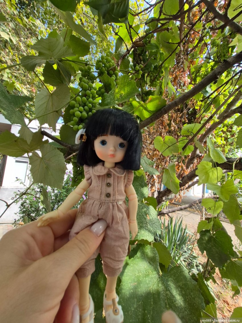 Приключения продолжаются-2 (фото 2)