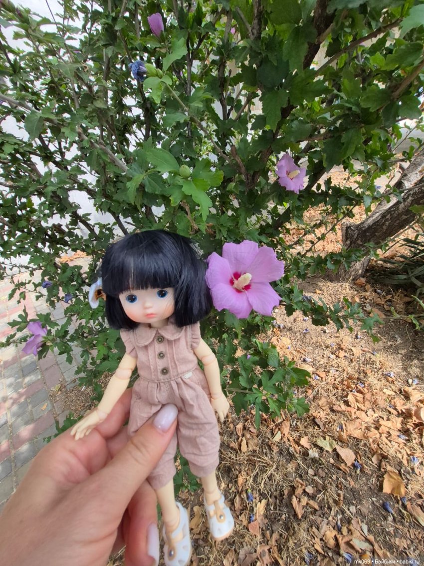 Приключения продолжаются-2 (фото 3)