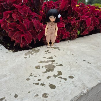 Приключения продолжаются-3