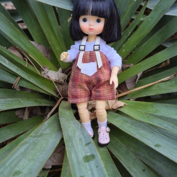 Приключения продолжаются