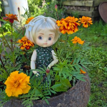 Последние деньки уходящего лета