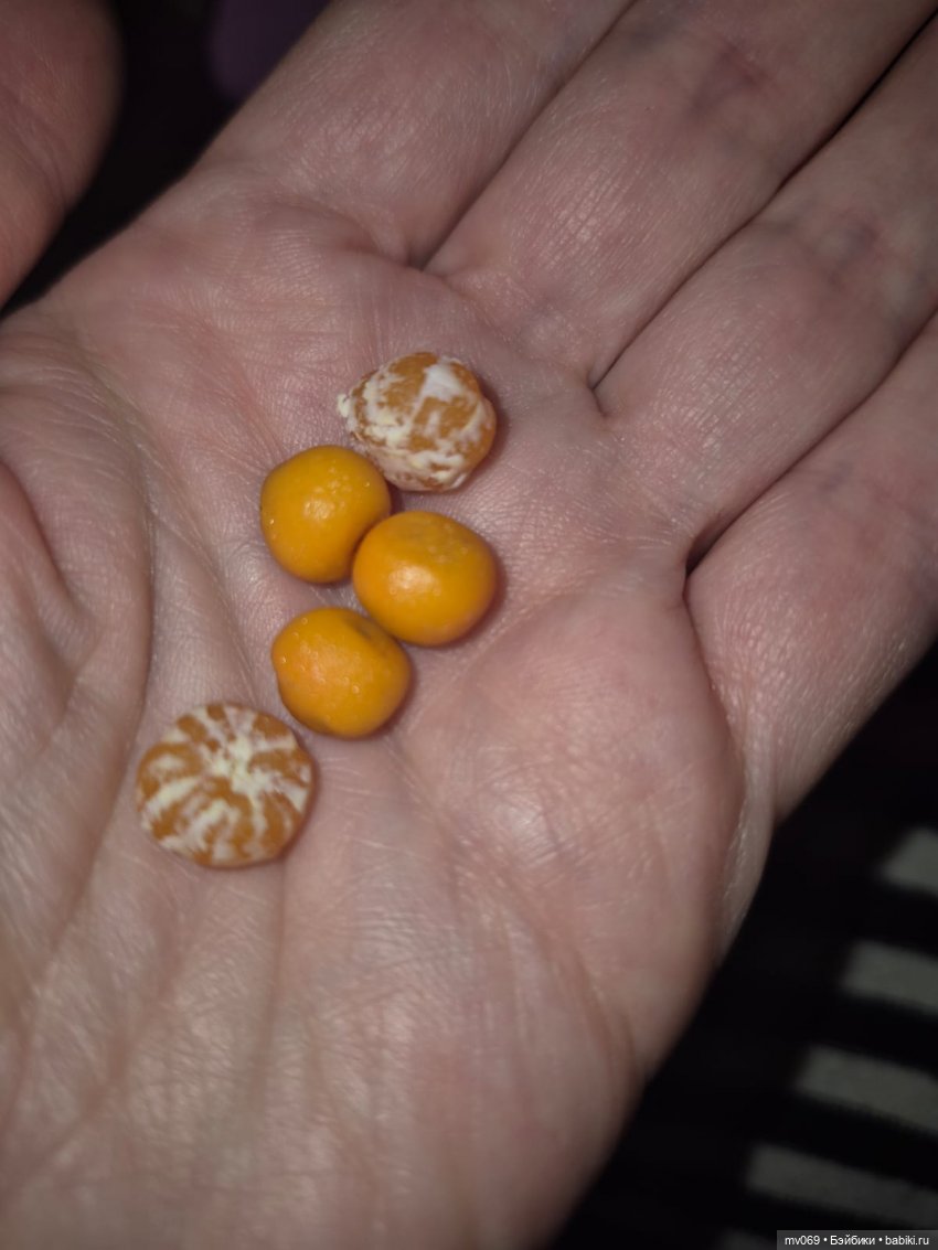 Итоги 2025 года — Итоги года и челленджи: Кукольные планы (фото 5)