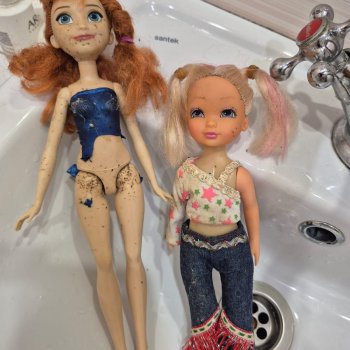 Брошенки - найденки 3