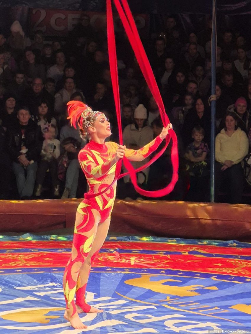 Циркачки — Азиатские виниловые куклы (разное): Китай