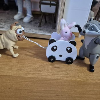 Тузик и Енотик лучшие друзья.