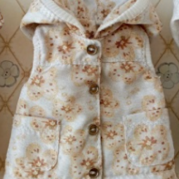 Новая жилеточка