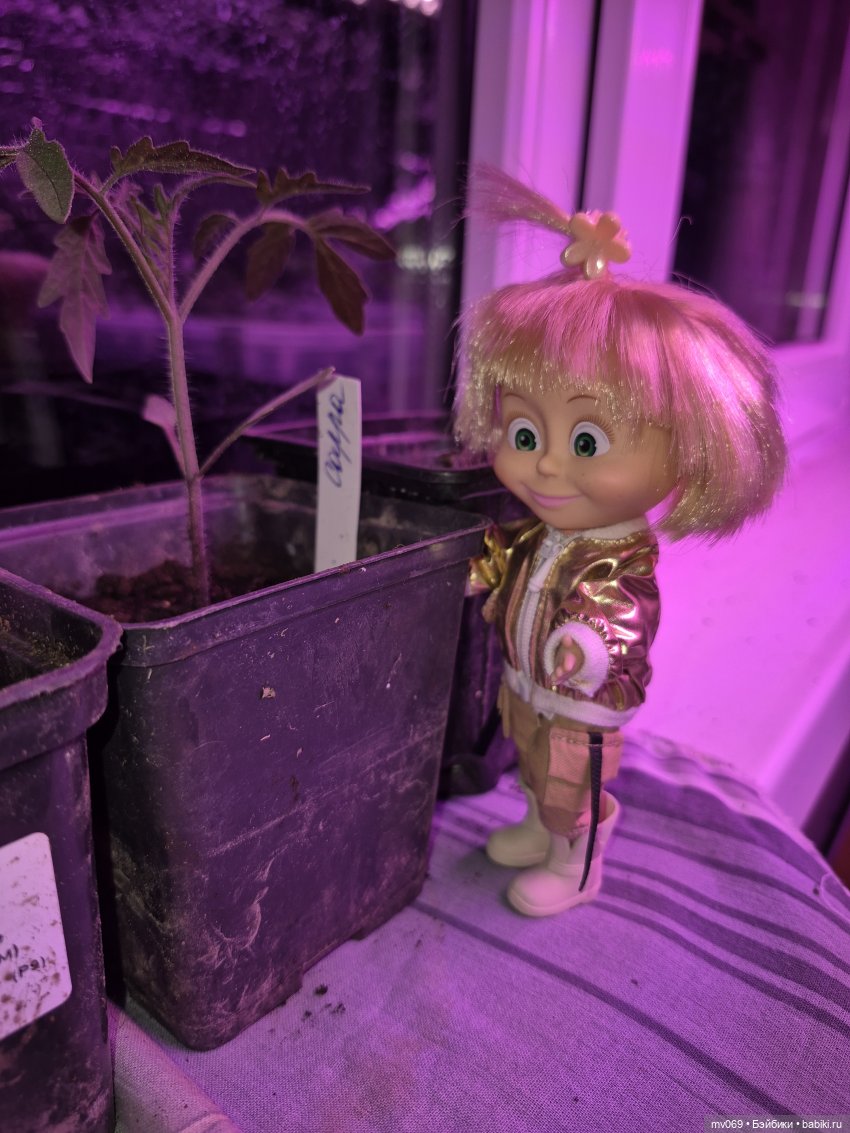 Машина прогулка — Куклы Маша и Медведь (Simba): Маша в кармашке (фото 6)