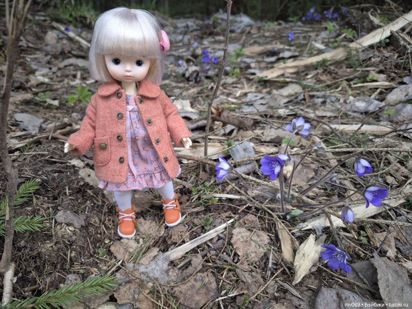 Прогулка Диночки в лесу — Азиатские виниловые куклы (разное): Китай (фото 3)