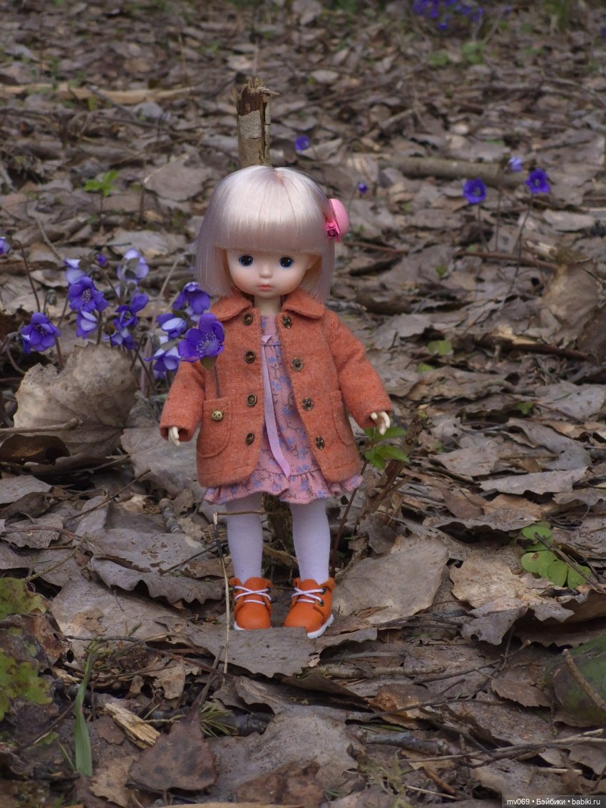 Прогулка Диночки в лесу — Азиатские виниловые куклы (разное): Китай