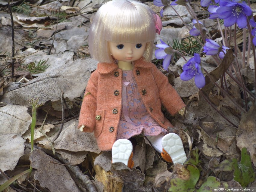Прогулка Диночки в лесу — Азиатские виниловые куклы (разное): Китай (фото 9)