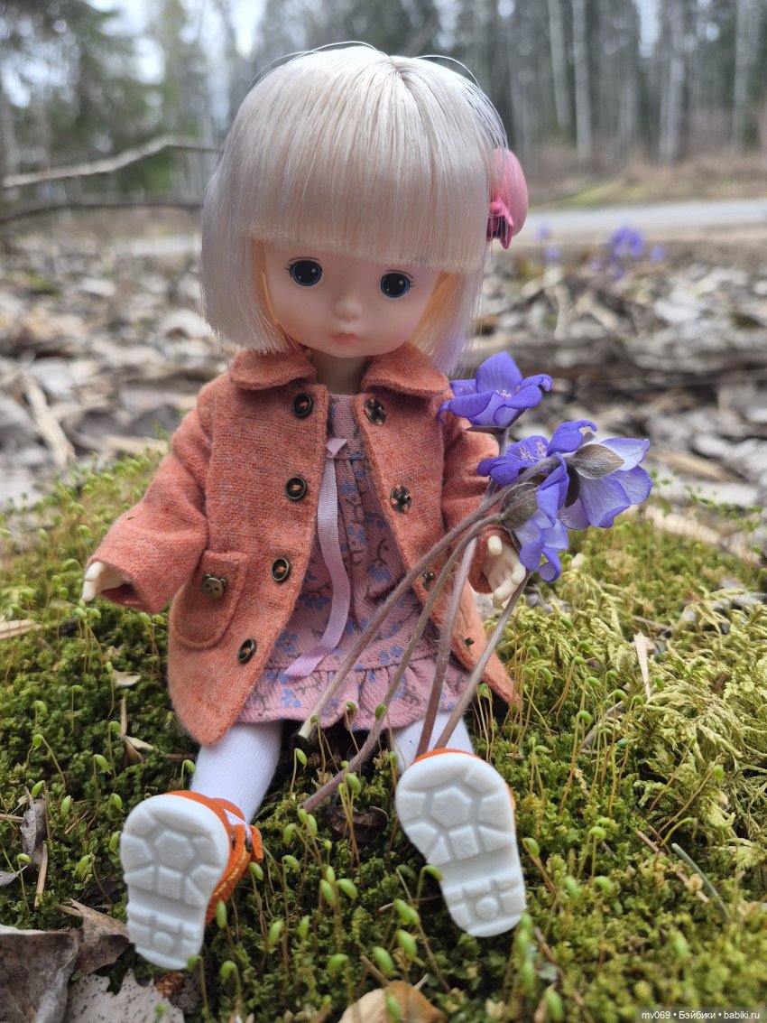 Прогулка Диночки в лесу — Азиатские виниловые куклы (разное): Китай (фото 6)