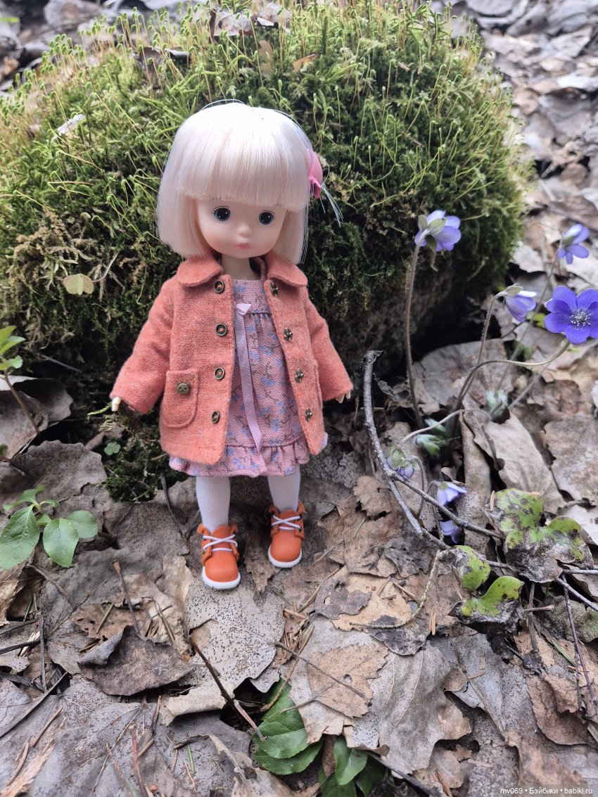 Прогулка Диночки в лесу — Азиатские виниловые куклы (разное): Китай (фото 5)
