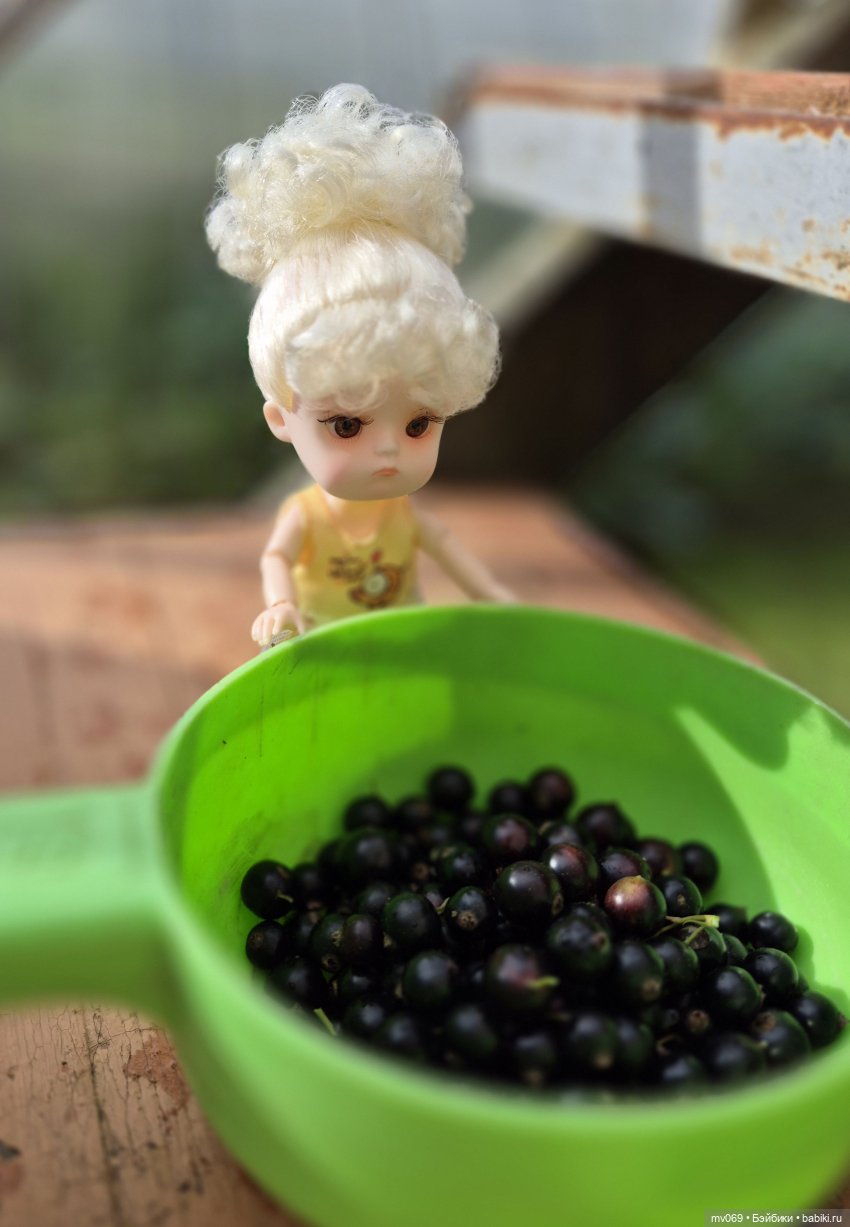 Малышата на даче — Прочие игровые куклы для девочек (фото 8)