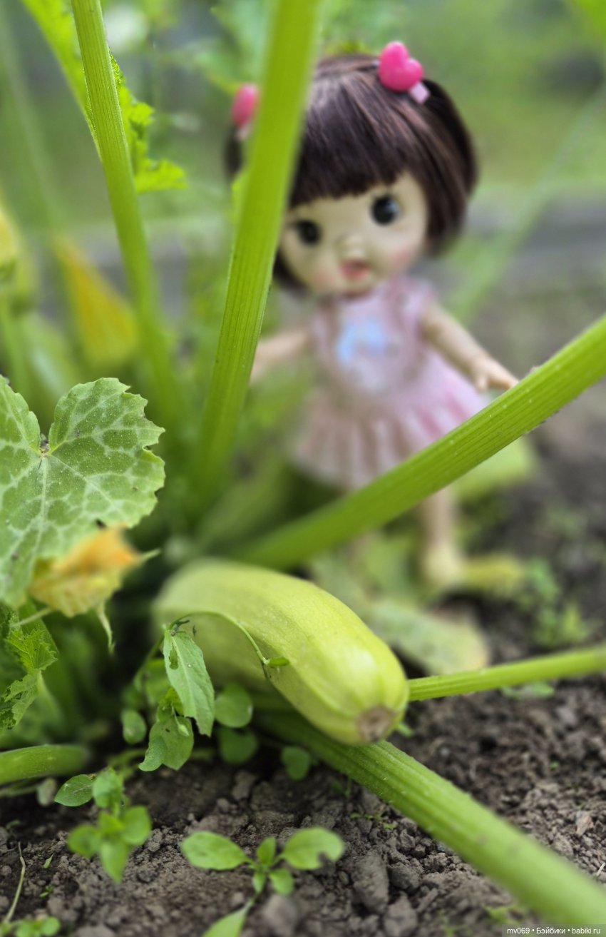 Малышата на даче — Прочие игровые куклы для девочек (фото 2)
