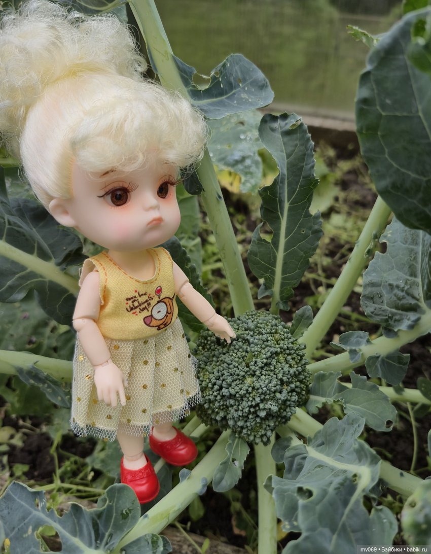 Малышата на даче — Прочие игровые куклы для девочек (фото 9)