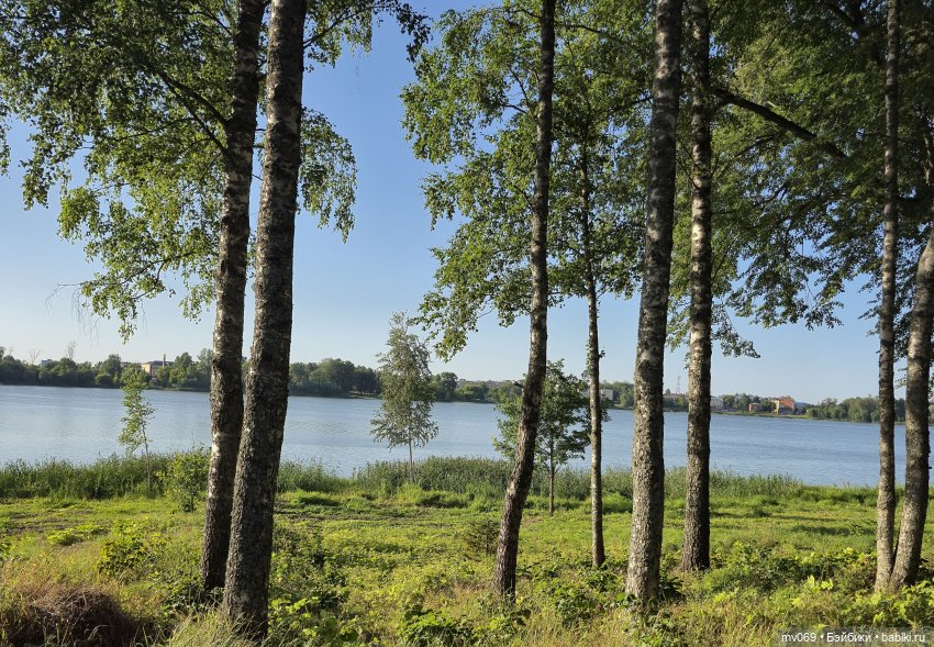 Прогулка новой малышки — Куклы с Алиэкспресс (Aliexpress): Китайские шарнирные (фото 4)