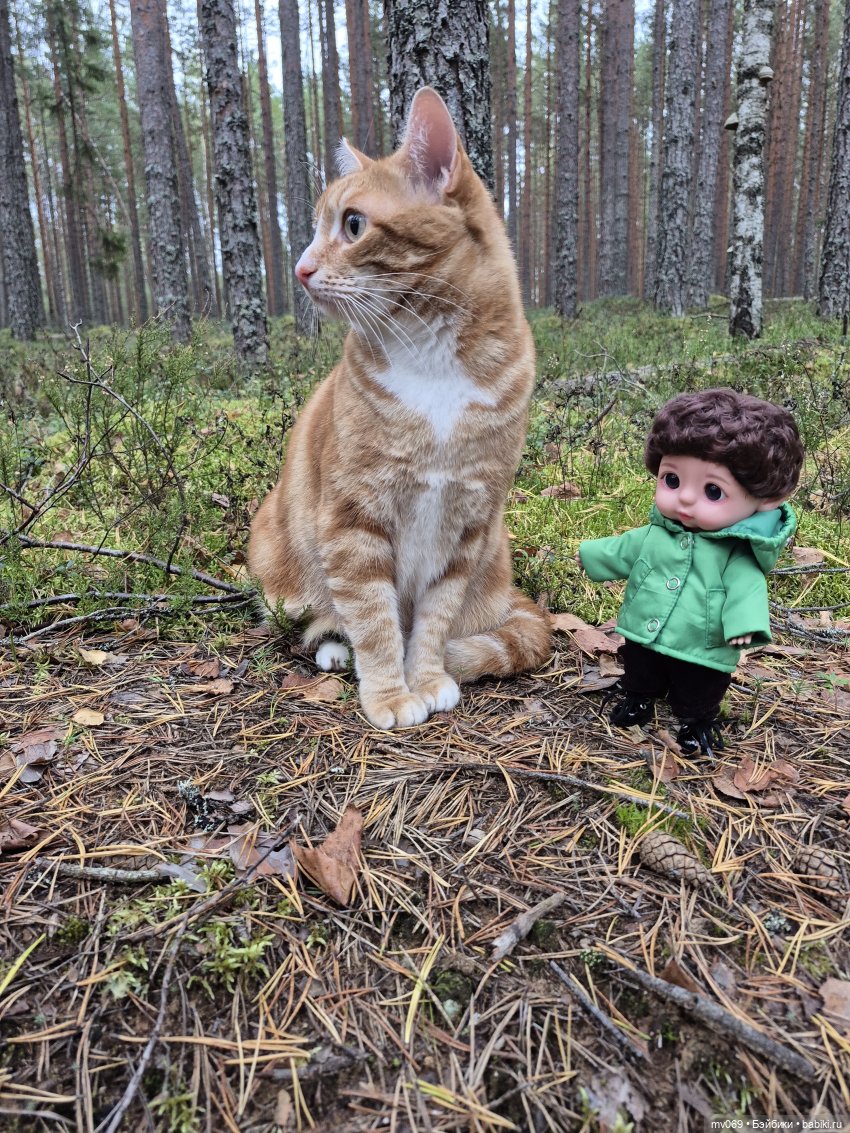 Мы с Мухтаром на границе — Прочие игровые куклы для девочек (фото 5)