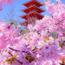 Япония - страна восходящего солнца