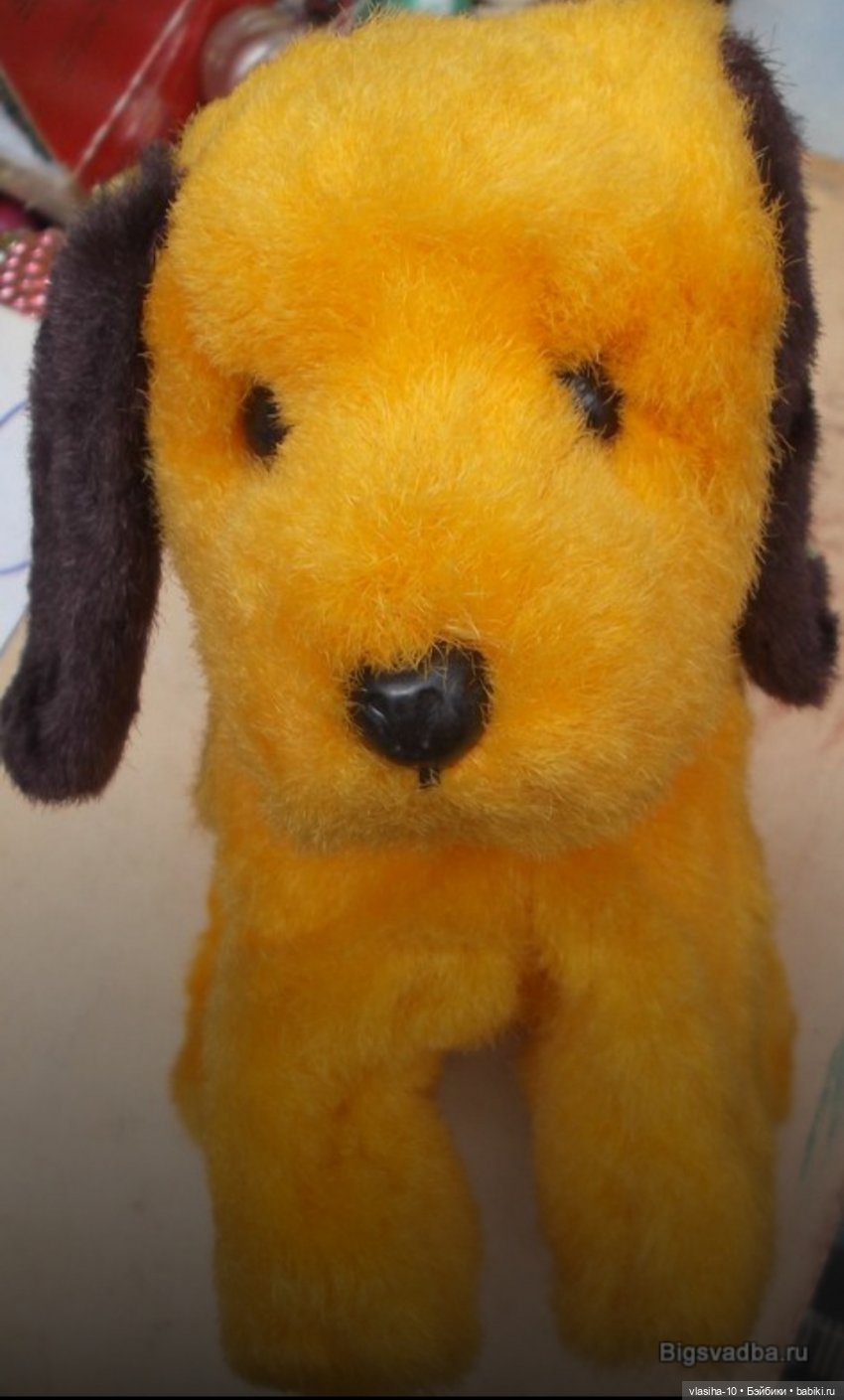 От нас большой привет — Культура (фото 9)