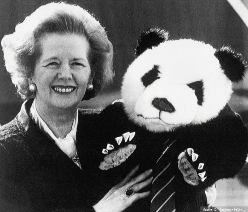Маргарет Тэтчер как коллекционер плюшевых мишек (фото 6)
