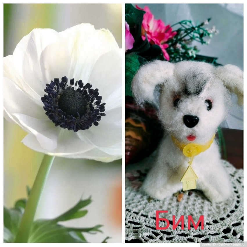 Александр Иванович Куприн и его пёс по кличке Сапсан (фото 3)