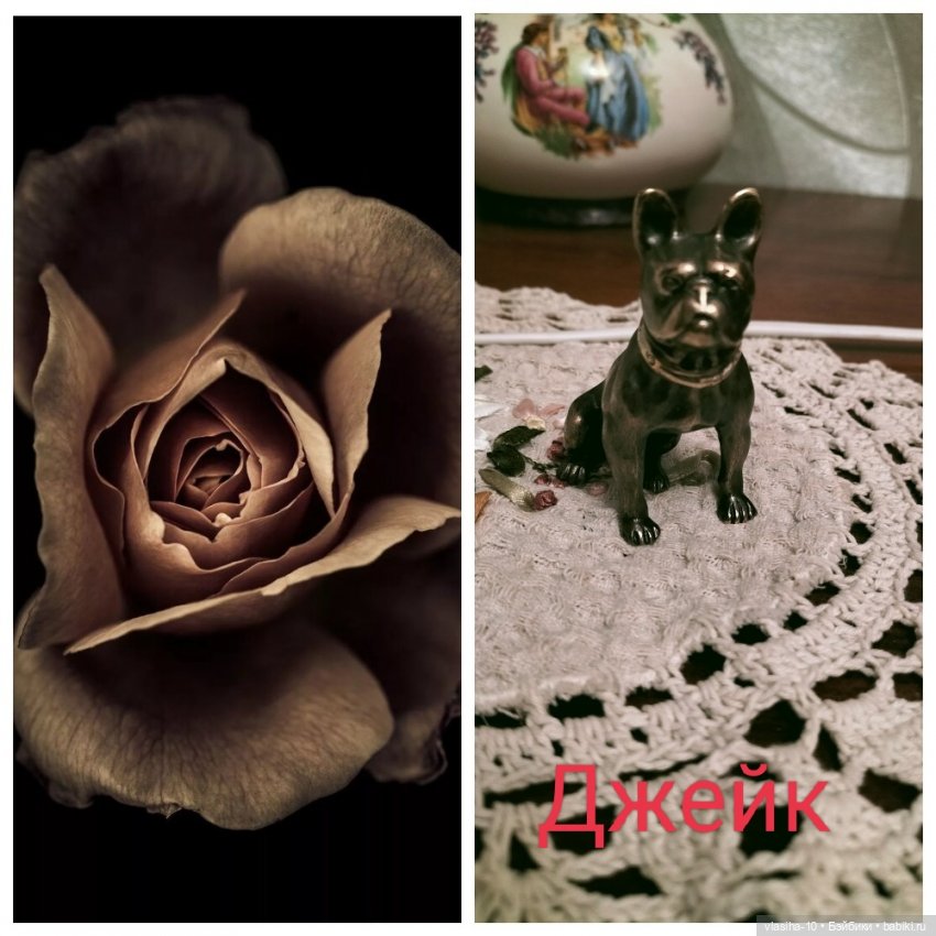 Александр Иванович Куприн и его пёс по кличке Сапсан (фото 9)