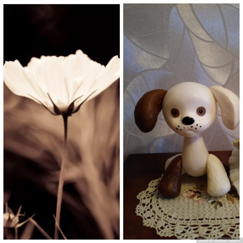 Александр Иванович Куприн и его пёс по кличке Сапсан (фото 6)