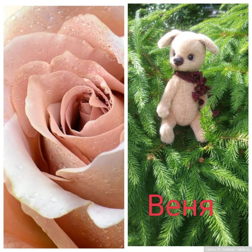 Александр Иванович Куприн и его пёс по кличке Сапсан (фото 5)