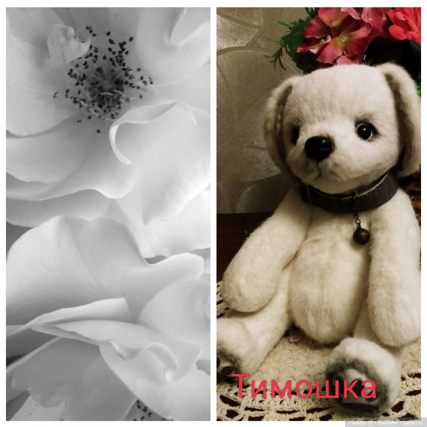 Александр Иванович Куприн и его пёс по кличке Сапсан (фото 4)