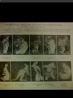 Курчевский Вадим Владимирович 1928-1997 (фото 10)