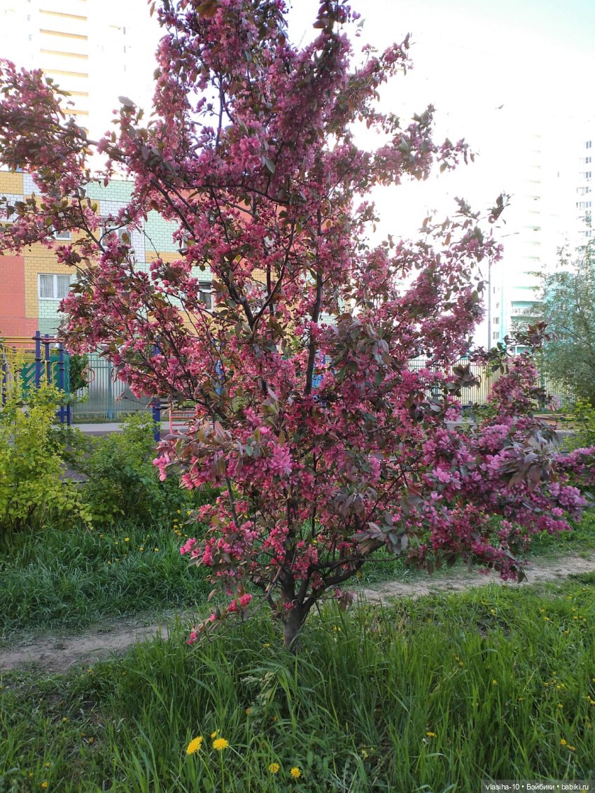 Смотри и наслаждайся! Автор кукол и игрушек - Нина Молостнова