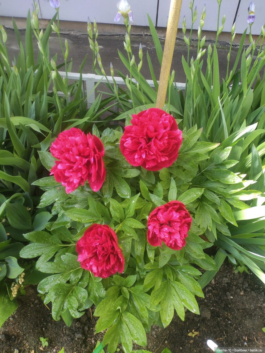 Загадка, которая долгое время не давала мне покоя