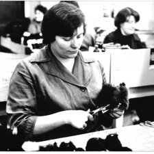 ПО "Дайльраде". СССР. Рига