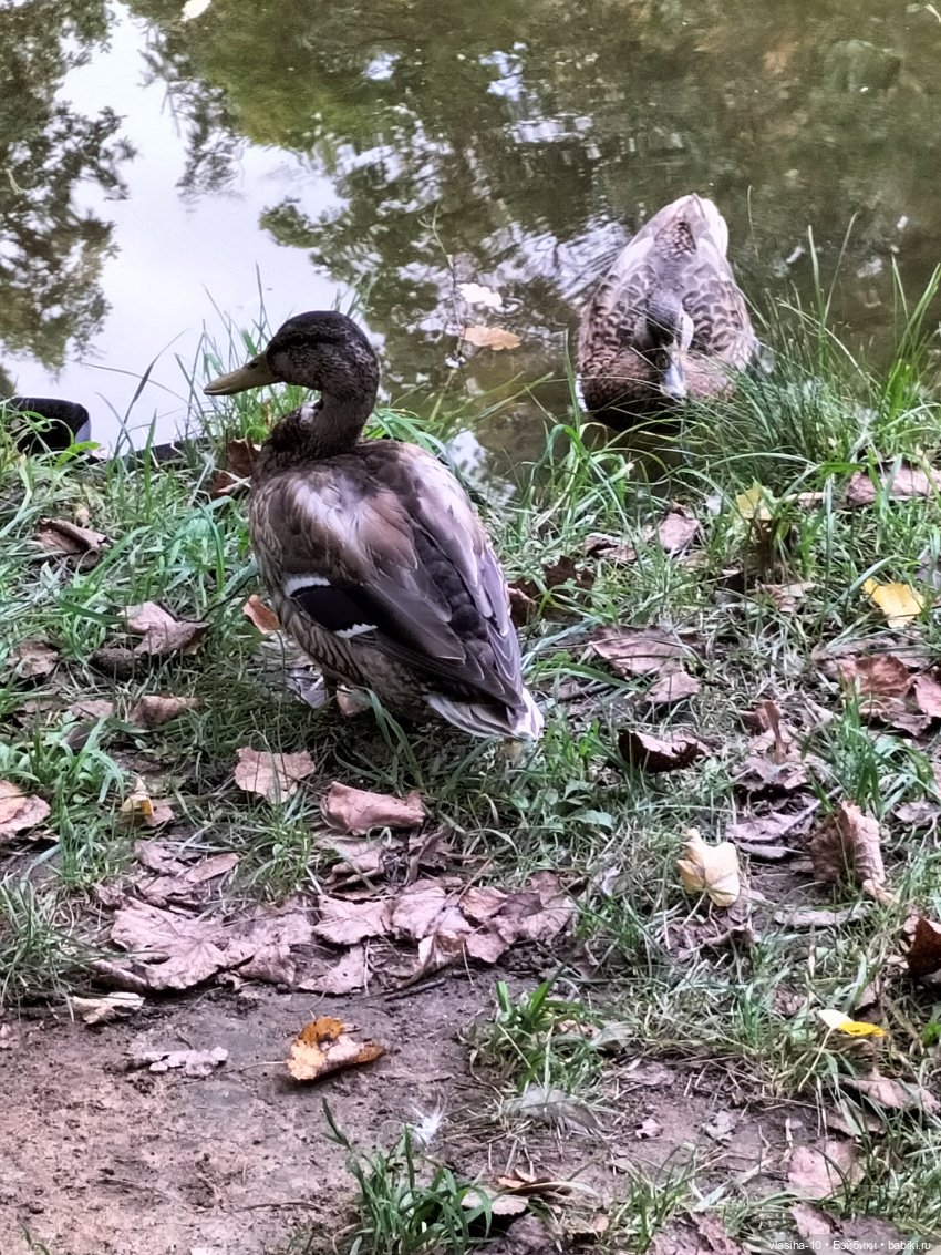 Маленькая Джуди на отдыхе