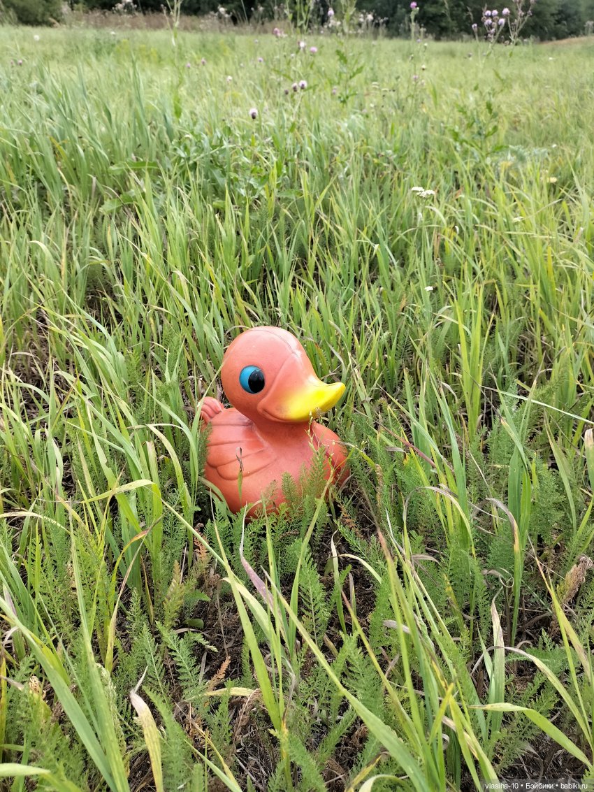 Маленькая Джуди на отдыхе