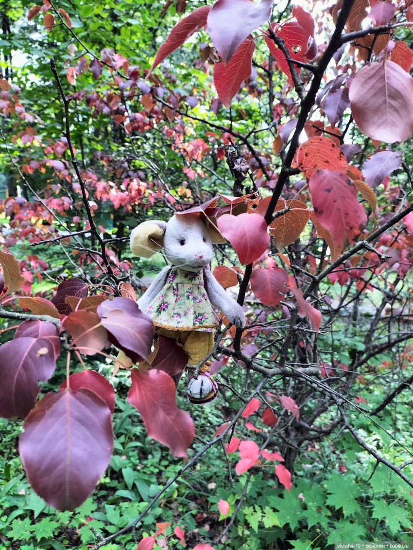 Маленькая Джуди на отдыхе