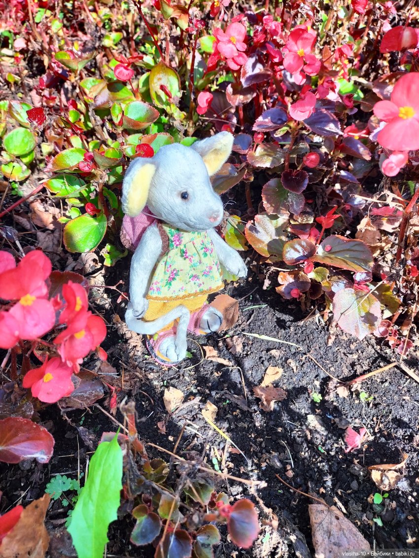 Маленькая Джуди на отдыхе (фото 8)