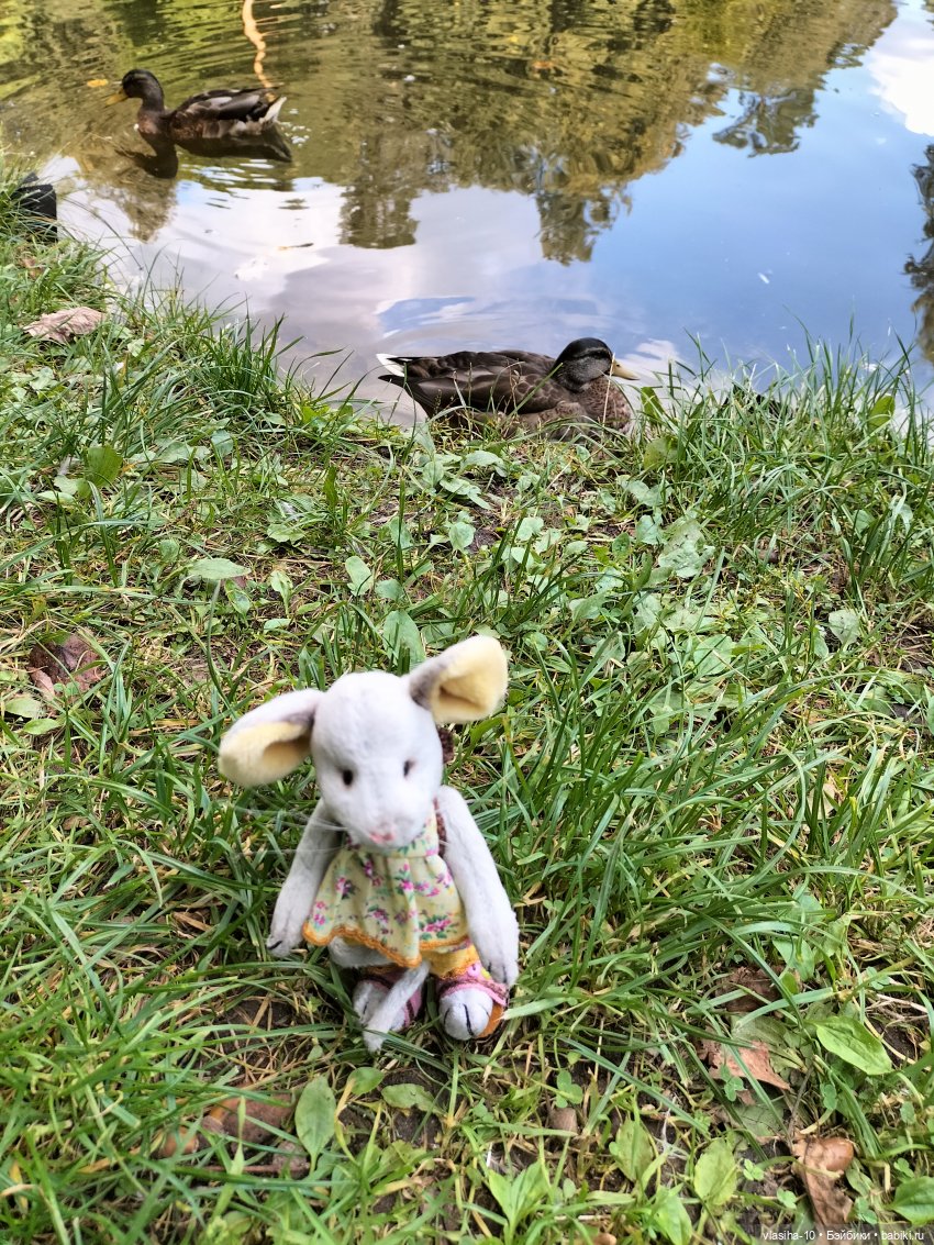 Маленькая Джуди на отдыхе