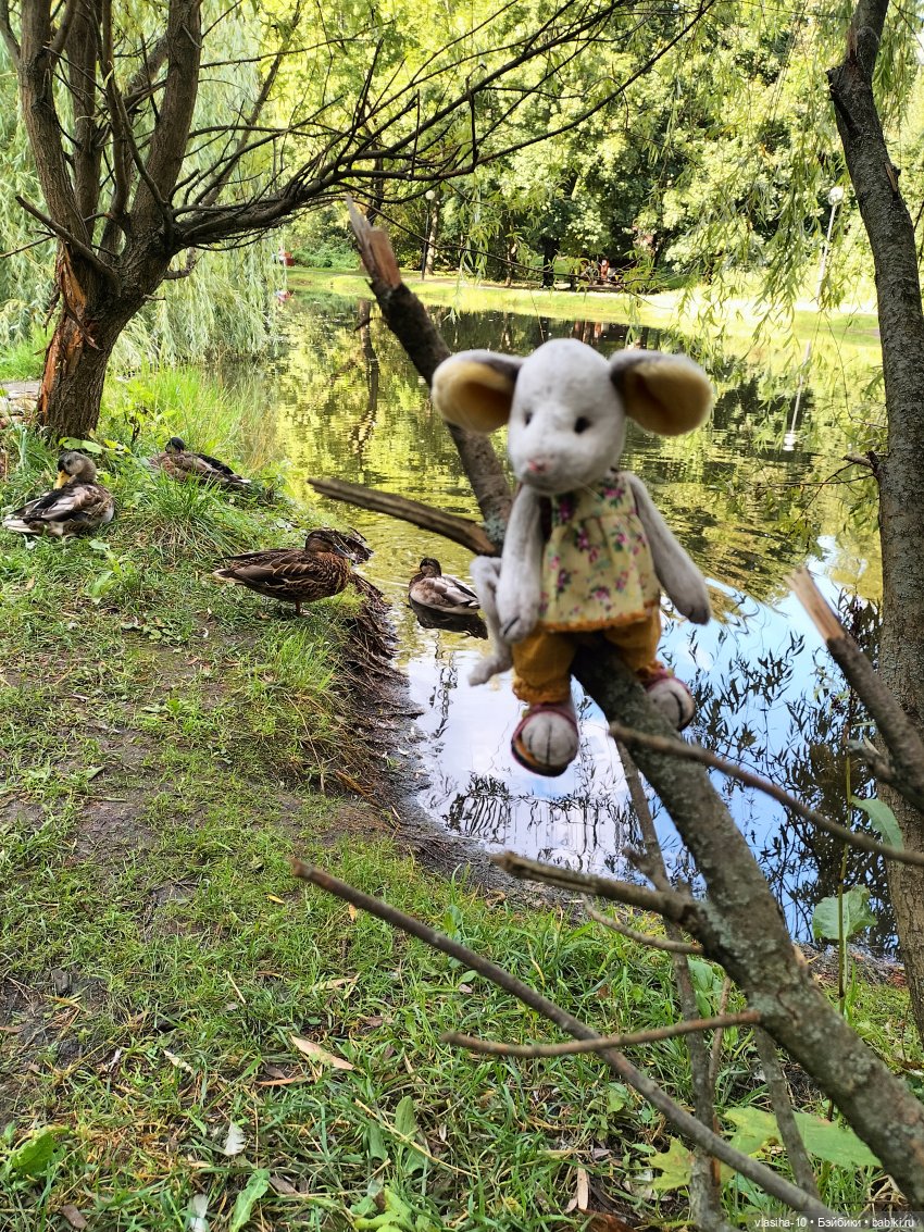 Маленькая Джуди на отдыхе