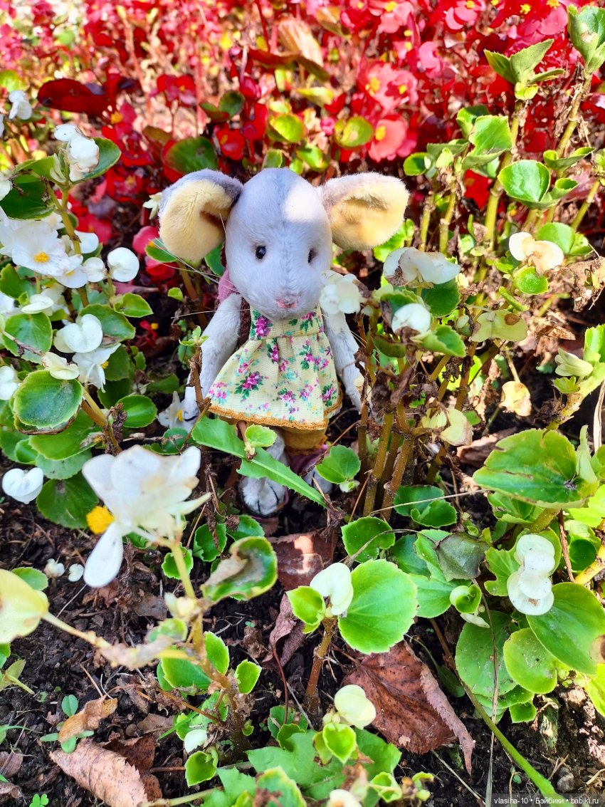 Маленькая Джуди на отдыхе (фото 9)