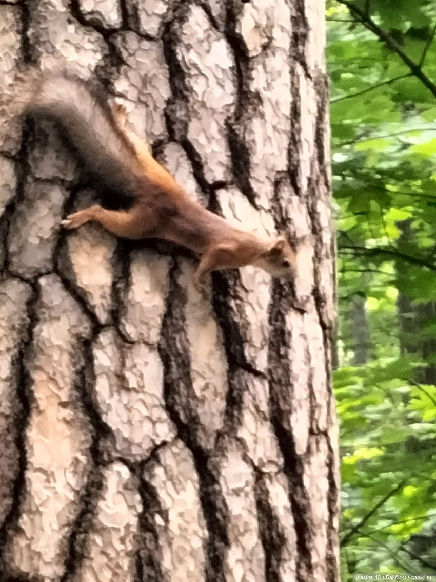 Маленькая Джуди на отдыхе